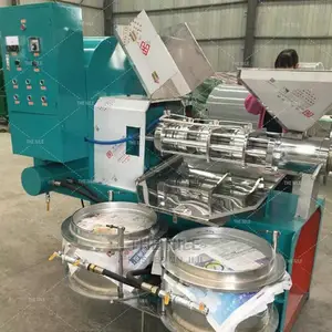 Special Medium Camellia Seed Oil Press