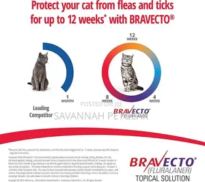 Bravecto Spot-On Flea Tick Solution for Small Cats
