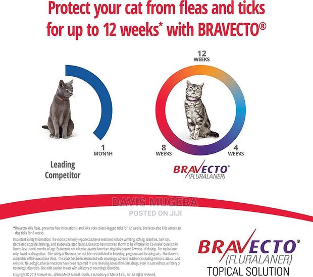 Bravecto Spot-On Flea Tick Solution for Small Cats - thumbnail 4