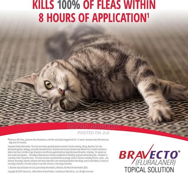 Bravecto Spot-On Flea Tick Solution for Small Cats - thumbnail 3
