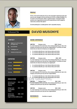 Curriculum Vitae (Cv) Writing