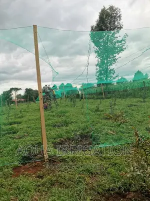 Bird Nets Measurements Are 4×50