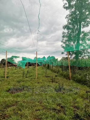 Bird Nets Measurements Are 4×50