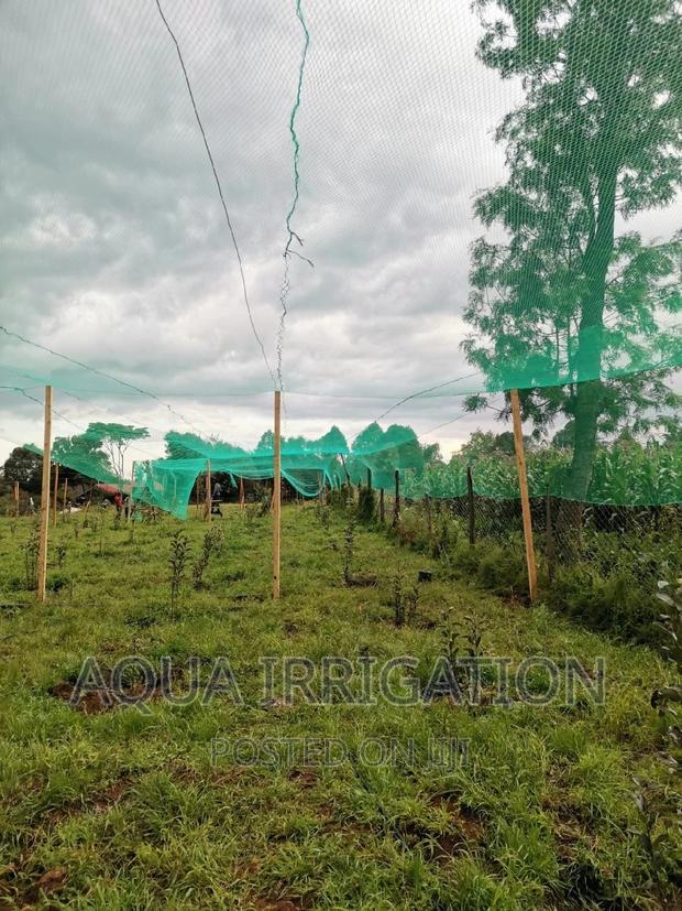 Bird Nets Measurements Are 4×50 - thumbnail 2