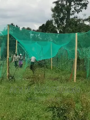 Bird Nets Measurements Are 4×50