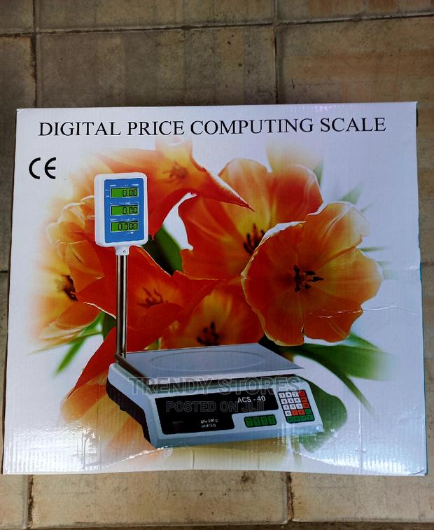 Digital Computing Scale 30kg Weighing Scale
