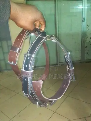 Spiked and Non-Spiked Heavy Duty Genuine Leather Dog Harness