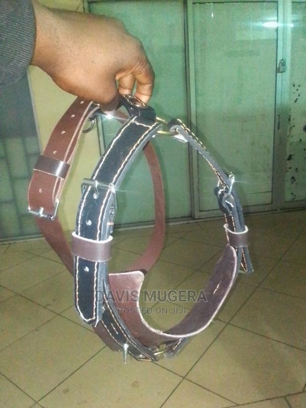 Spiked and Non-Spiked Heavy Duty Genuine Leather Dog Harness - thumbnail 4