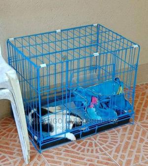 Cat's Carriers - thumbnail 2