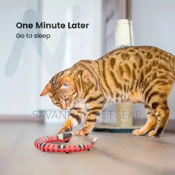 Smart Sensing Electric Snake Interactive Cat Toy