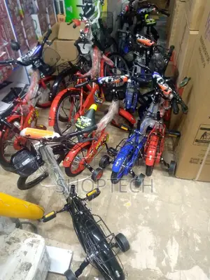 Lion King Bike 12"16"20" Bicycle.
