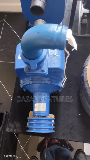 Bare Pump 65m Head