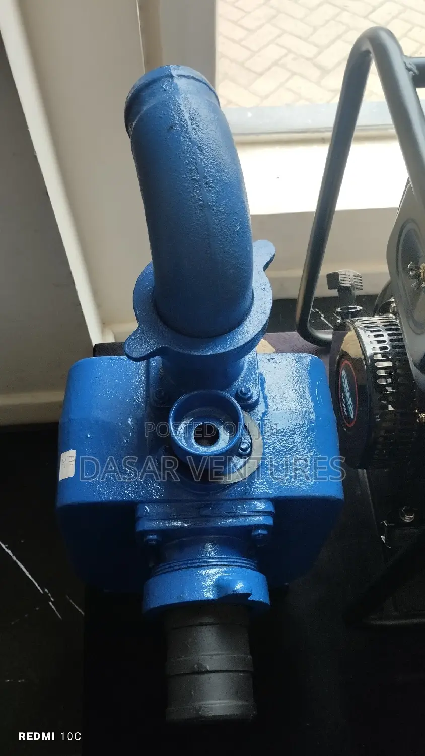 Bare Pump 65m Head