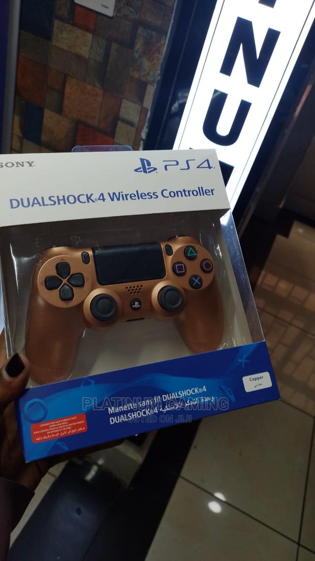 PS4 Controller - main view