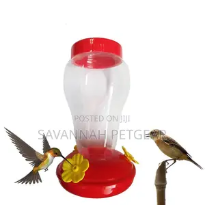 Hummingbird Bird Nectar Feeder Drinker