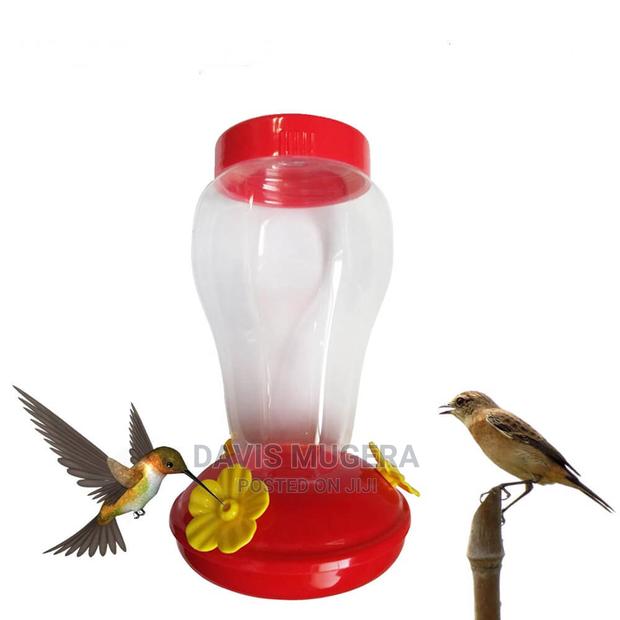Hummingbird Bird Nectar Feeder Drinker - thumbnail 4