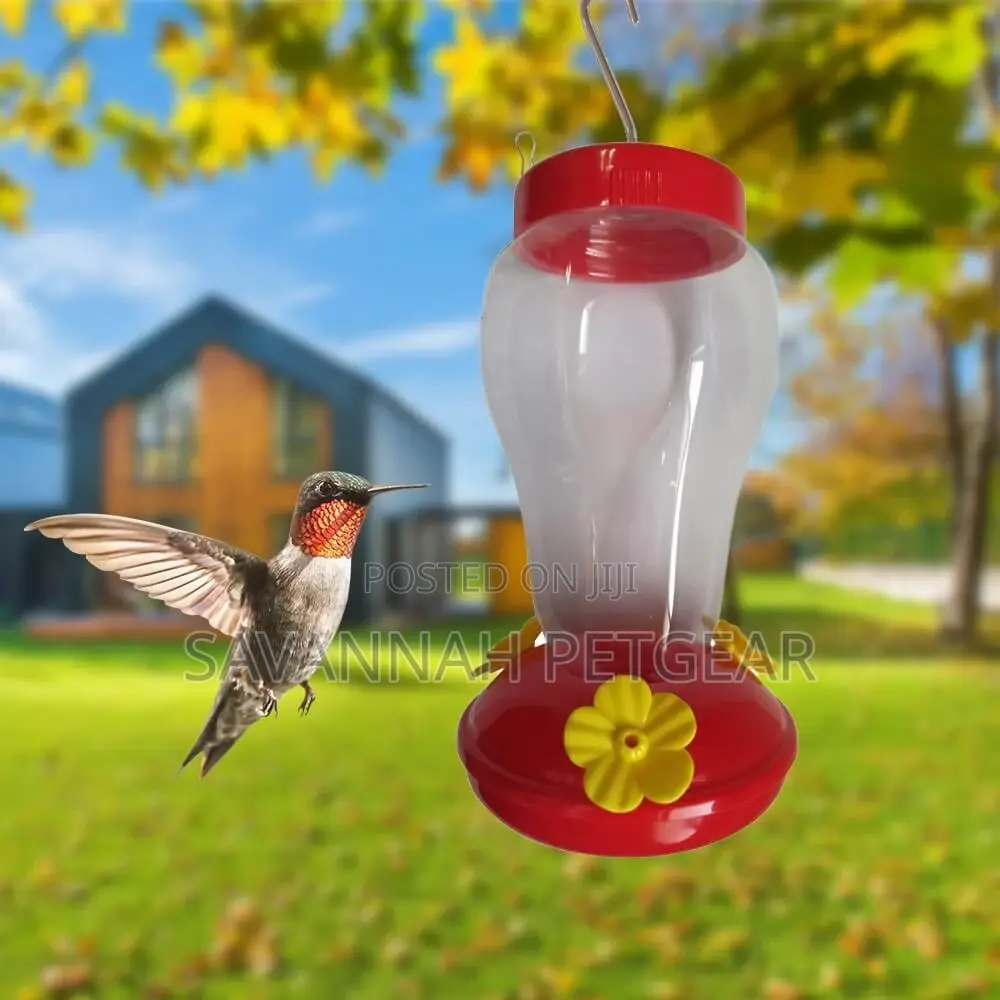 Hummingbird Bird Nectar Feeder Drinker
