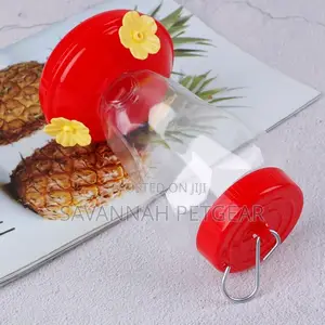 Hummingbird Bird Nectar Feeder Drinker