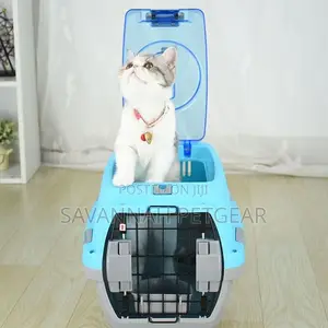 Skylight Airline Dog Cat Carrier Kennel - Small