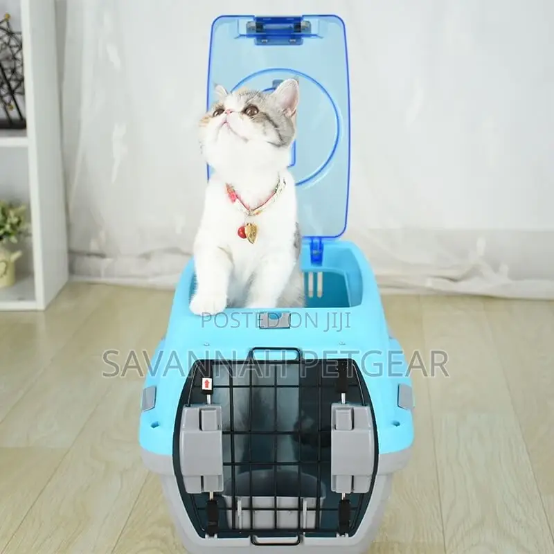 Skylight Airline Dog Cat Carrier Kennel - Small