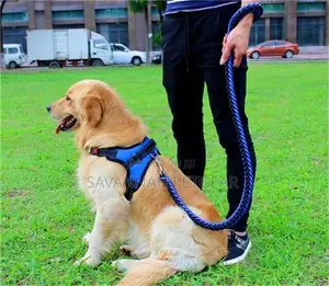 Padded Back Sports Big Dog Harness + Leash