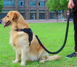 Padded Back Sports Big Dog Harness + Leash