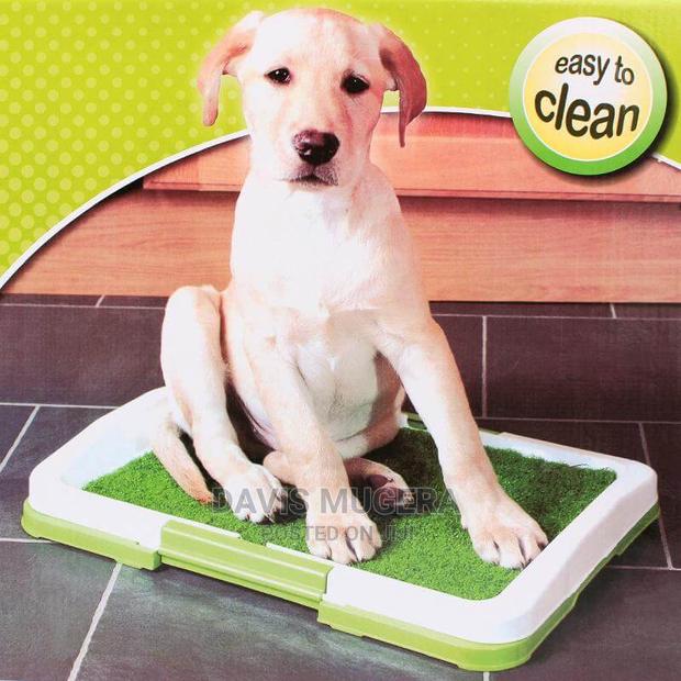 Grass Lawn Dog Toilet Trainer Potty Pad - main view