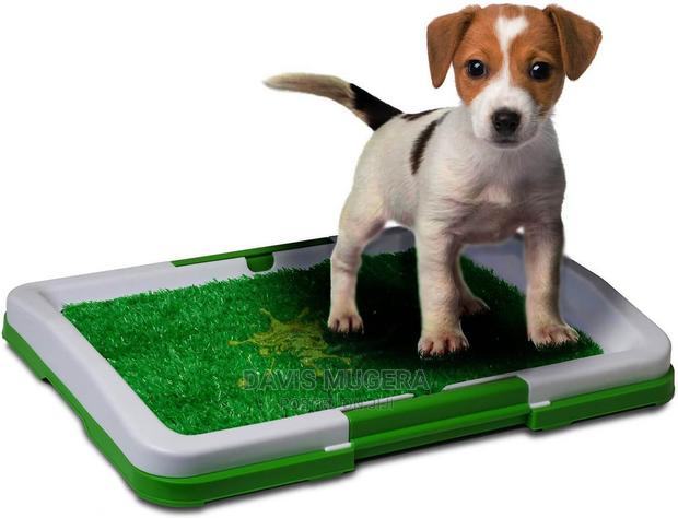 Grass Lawn Dog Toilet Trainer Potty Pad - thumbnail 3