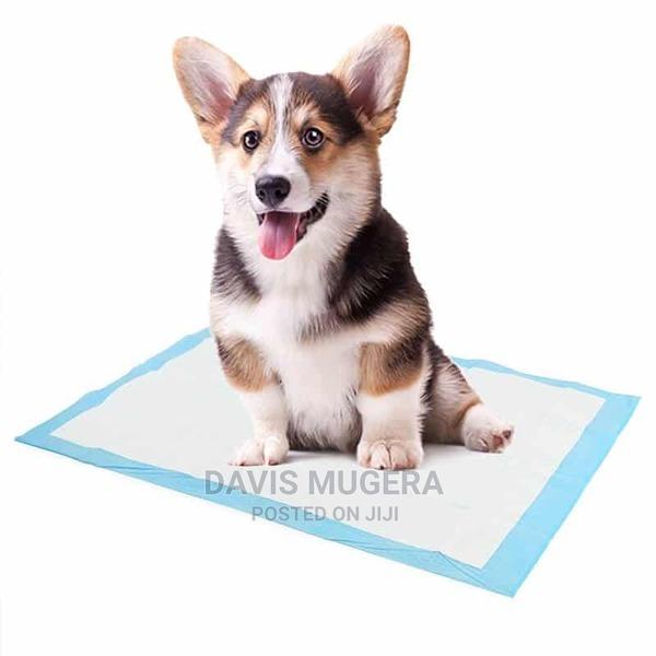 Super Absorbent Disposable Dog Potty Training Pee Pads - L - main view
