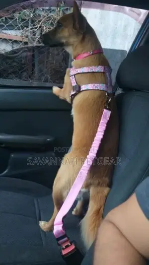 Dog Car Seat Safety Belt Adjustable Reflective Anti-Shock