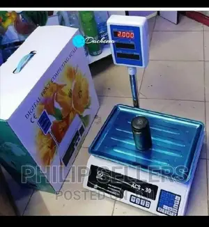 30kg Digital Price Computing Scale
