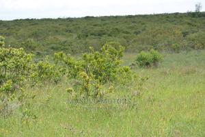 1 Acre - Land for Sale Nanyuki - thumbnail 2