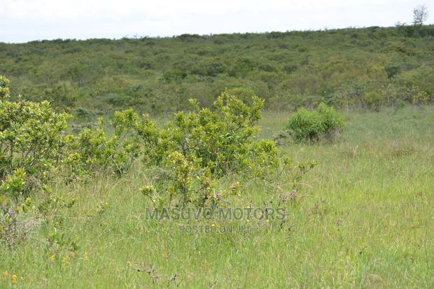 1 Acre - Land for Sale Nanyuki - main view