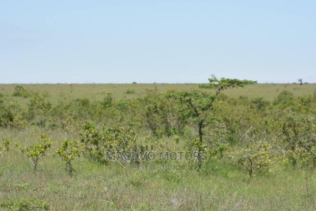 1 Acre - Land for Sale Nanyuki - thumbnail 9