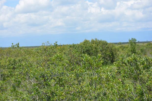 1 Acre - Land for Sale Nanyuki - thumbnail 10