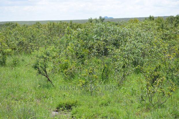 1 Acre - Land for Sale Nanyuki - thumbnail 12
