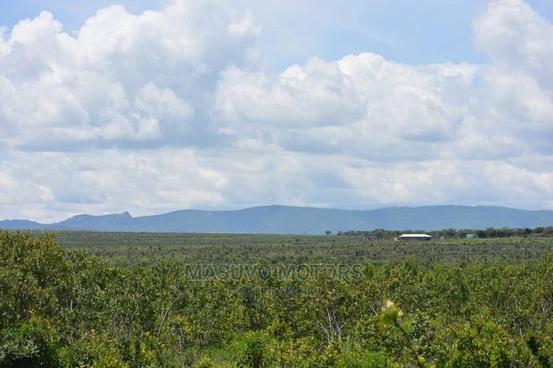 1 Acre - Land for Sale Nanyuki - thumbnail 13