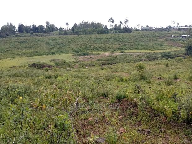 Virgin Land in Nyandarua Ol Kalau