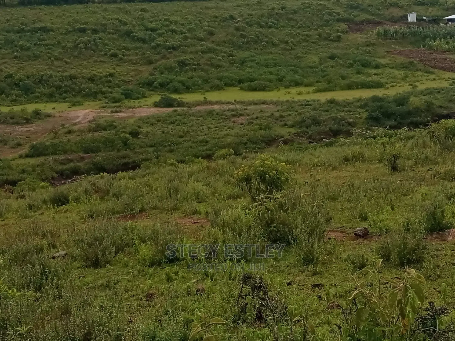 Virgin Land in Nyandarua Ol Kalau