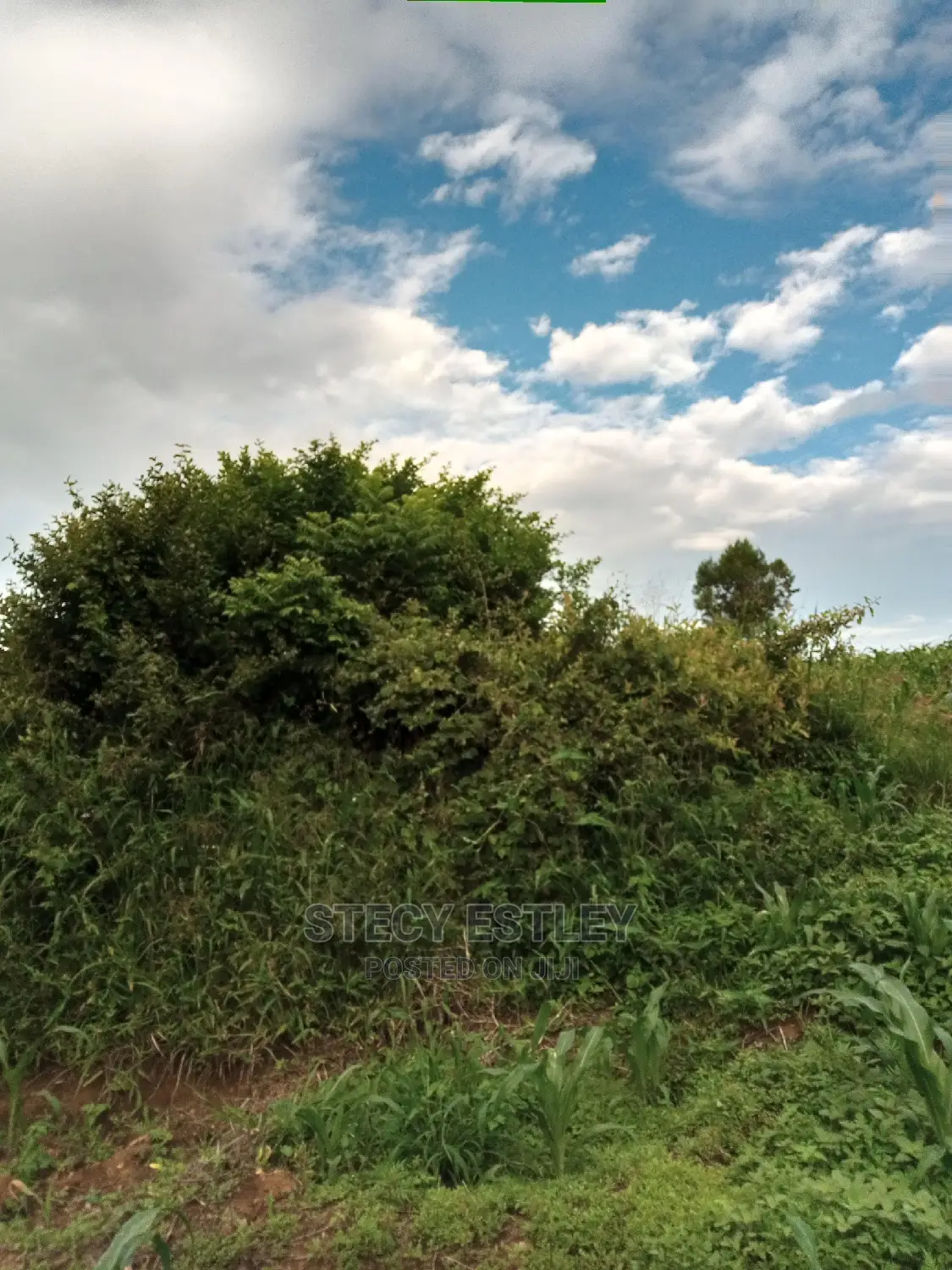Virgin Land in Nyandarua Ol Kalau