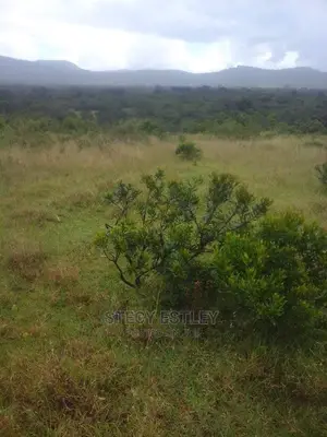 Virgin Land in Nyandarua Ol Kalau