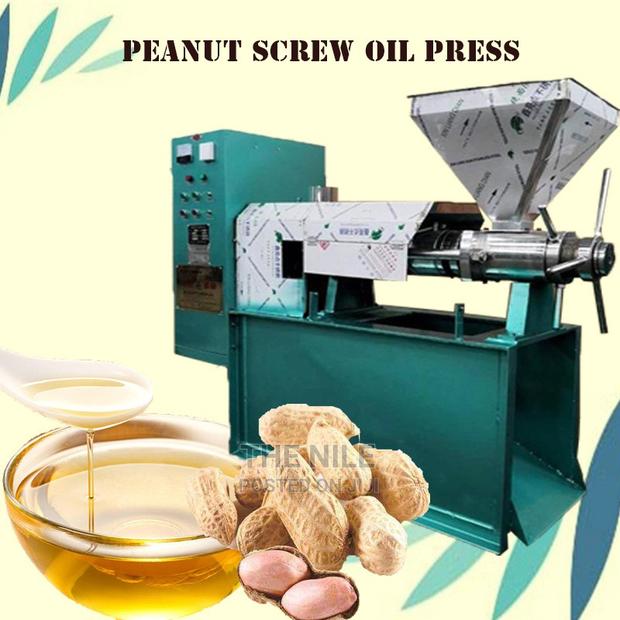 Hot Dual Automatic Peanut Oil Press - main view