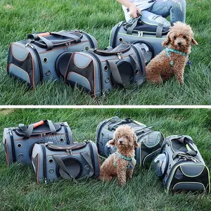 Capsule Airline-Approved Dog Cat Carrier Bag