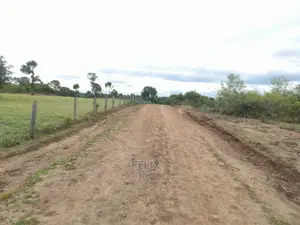 7 Acres Nanyuki/Delmonte