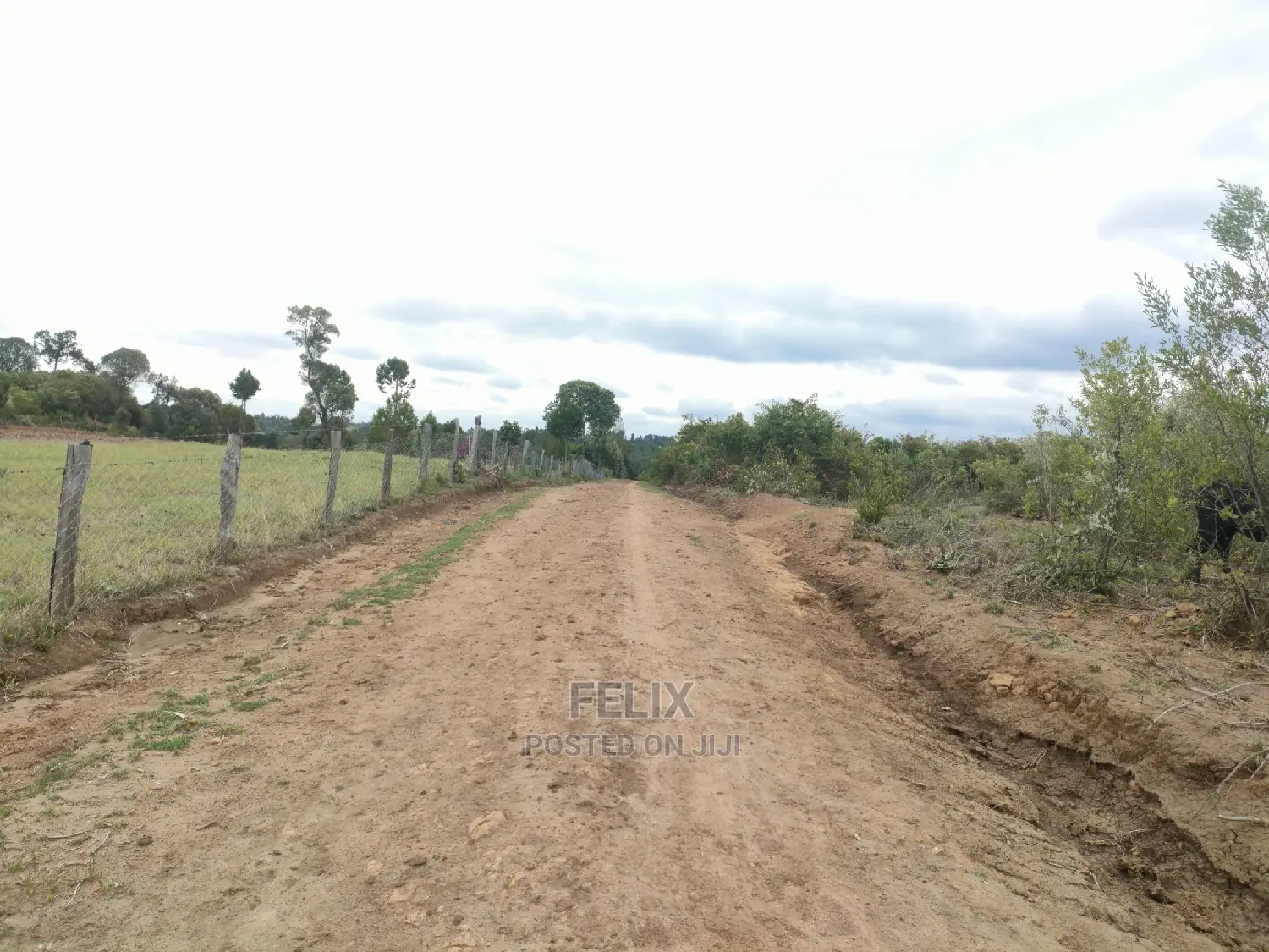 7 Acres Nanyuki/Delmonte