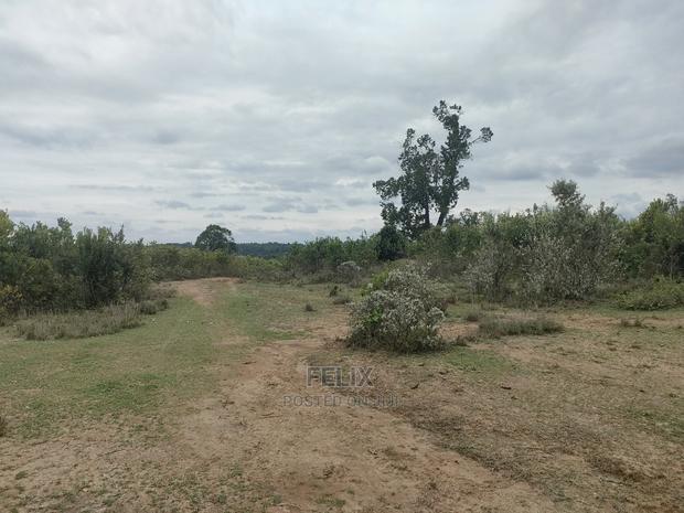 7 Acres Nanyuki/Delmonte - thumbnail 8