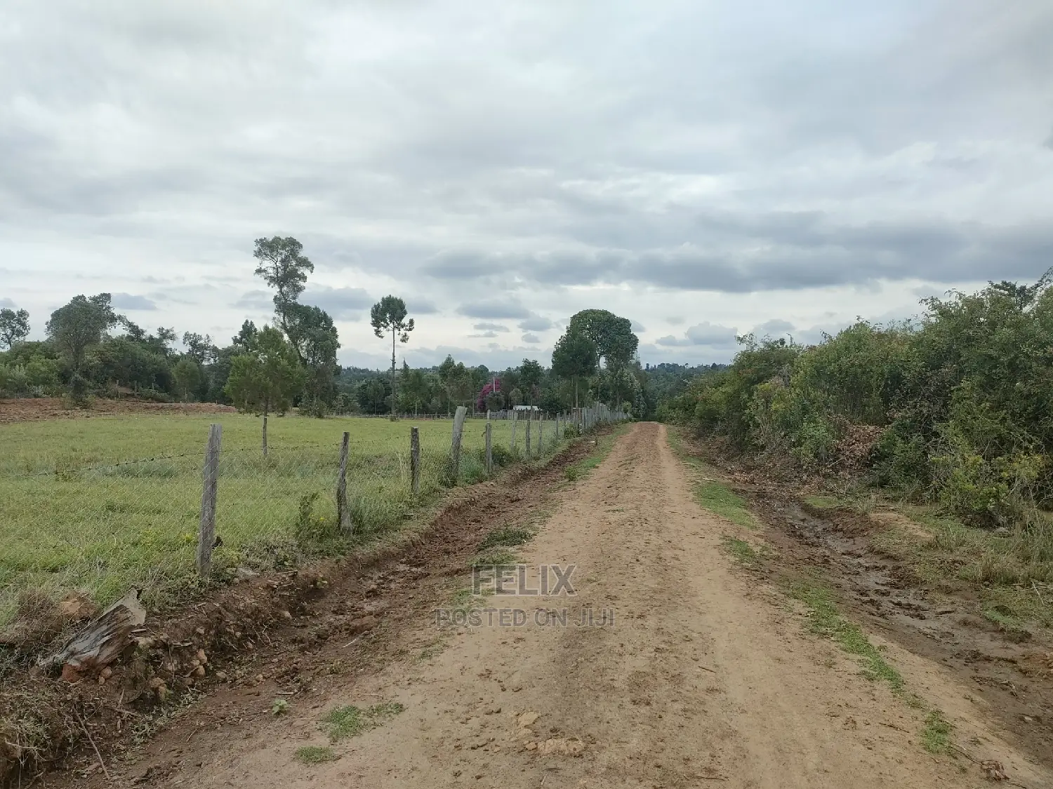 7 Acres Nanyuki/Delmonte