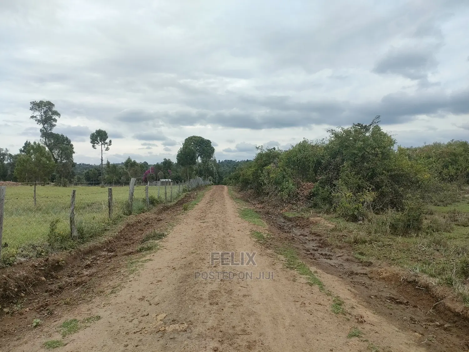 7 Acres Nanyuki/Delmonte