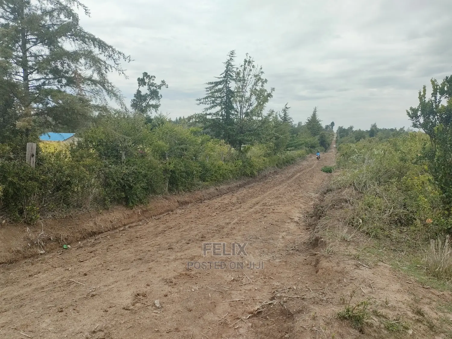 7 Acres Nanyuki/Delmonte