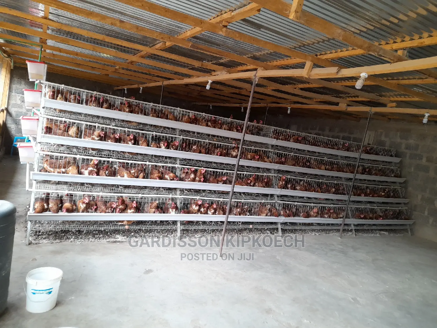 Good Chicken Cage